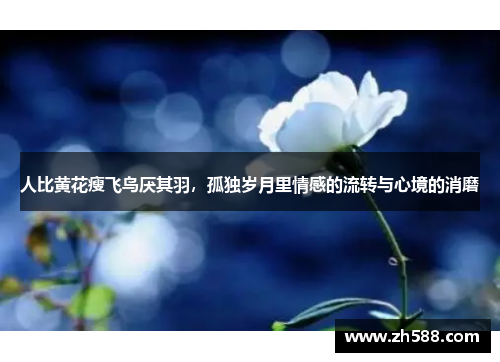 人比黄花瘦飞鸟厌其羽，孤独岁月里情感的流转与心境的消磨