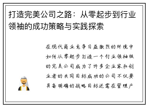 打造完美公司之路：从零起步到行业领袖的成功策略与实践探索